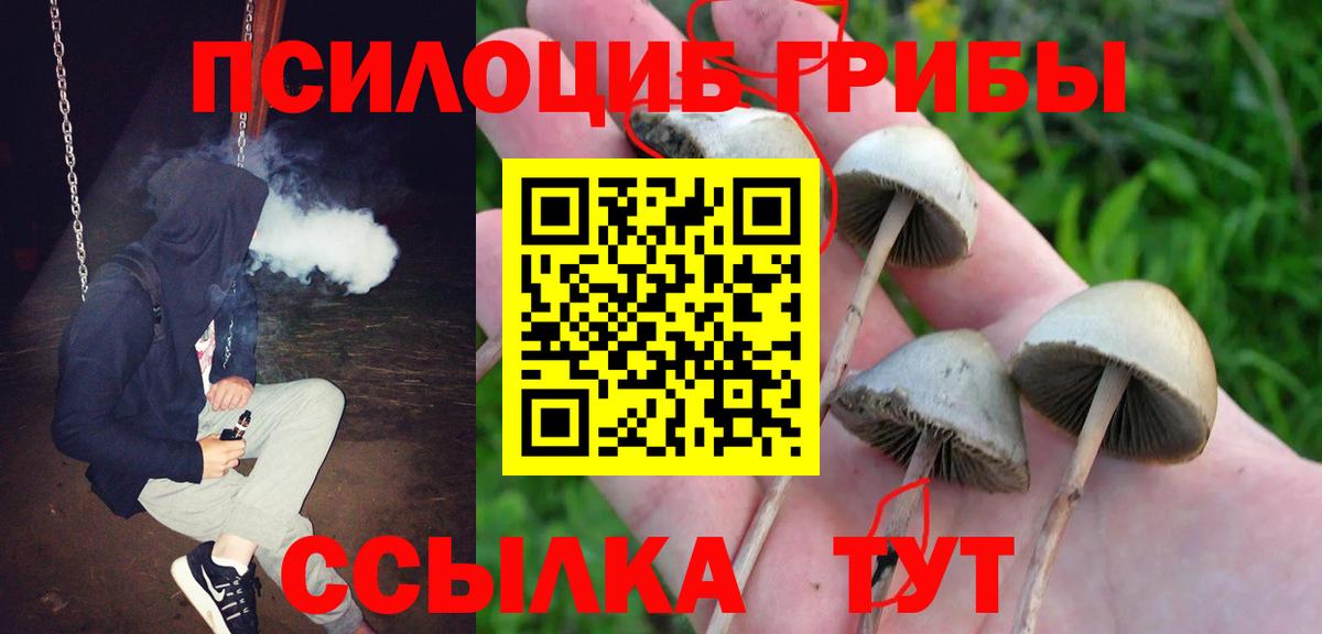 Псилоцибиновые грибы MAGIC MUSHROOMS  Вход с VPN  Северобайкальск 